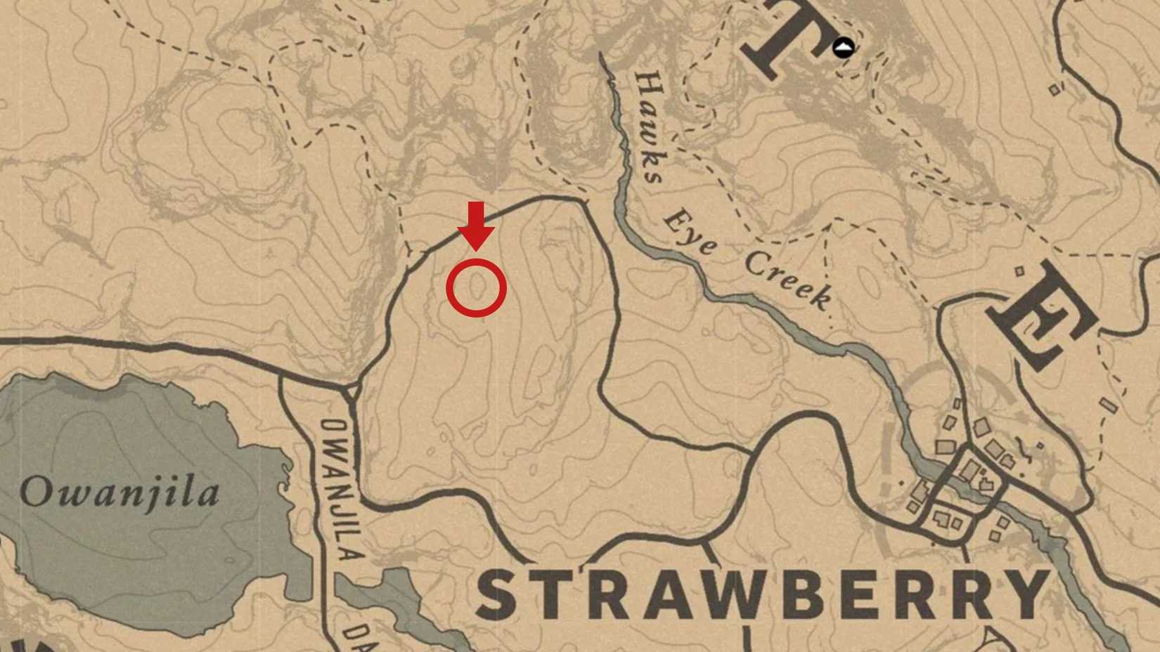 Red Dead Redemption 2's Best Stranger Mission Is Easy to Miss. Make Sure You Don't!