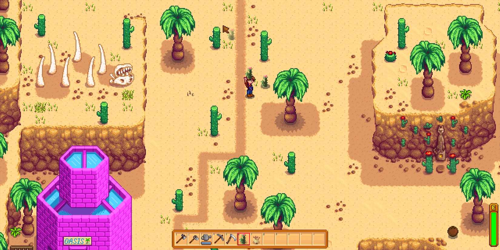 Stardew Valley Fae and Folk Desert