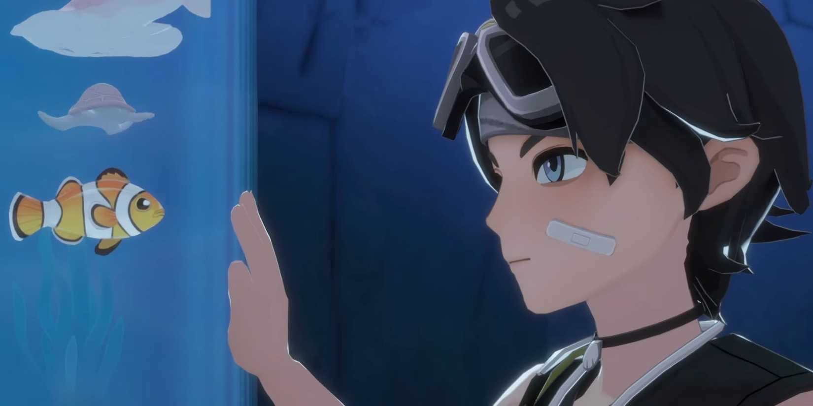 Starsand Island image of Delphin at an aquarium