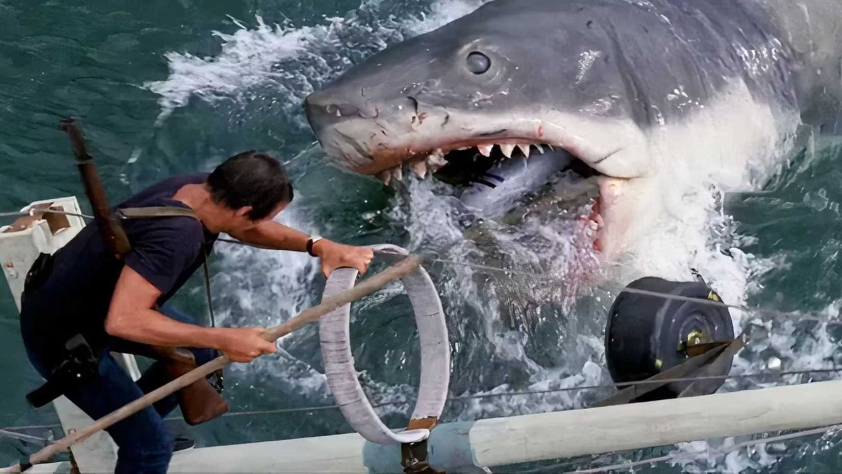 10 Great Movies Recommended by Hayao Miyazaki 6 The shark attacking Brody in Jaws