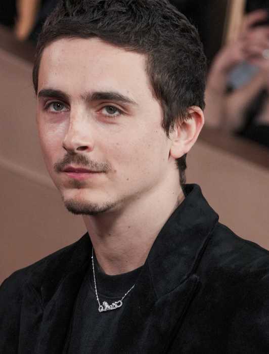 Resident Evil 4 Remake: How Luis Knows Ada