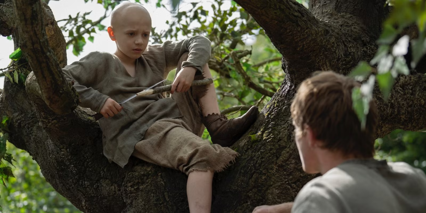 A Knight of the Seven Kingdoms - Egg in a tree and Dunk looking up at him image