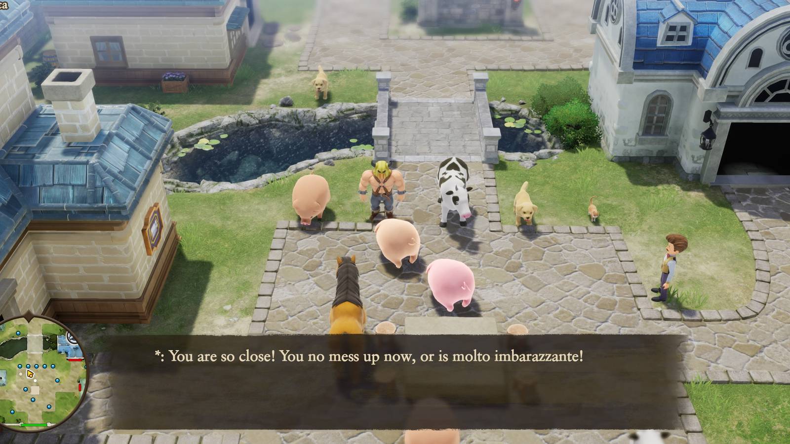 Dragon Quest 7 Reimagined: How To Complete The Animal Guessing Game