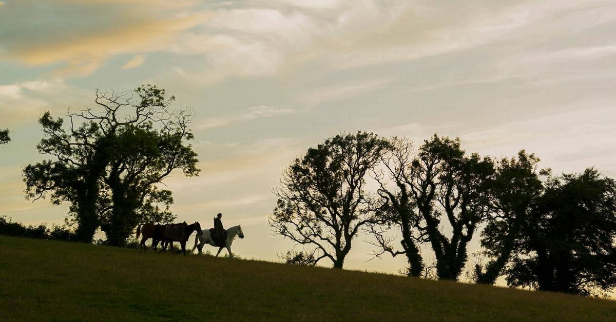 screenrant.com - Angel Shaw - The Cozy Video Game Trend Just Took Over Fantasy Television