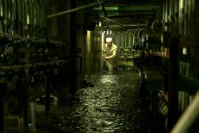 A worker enters a flooded nuclear plant in Chernobyl series