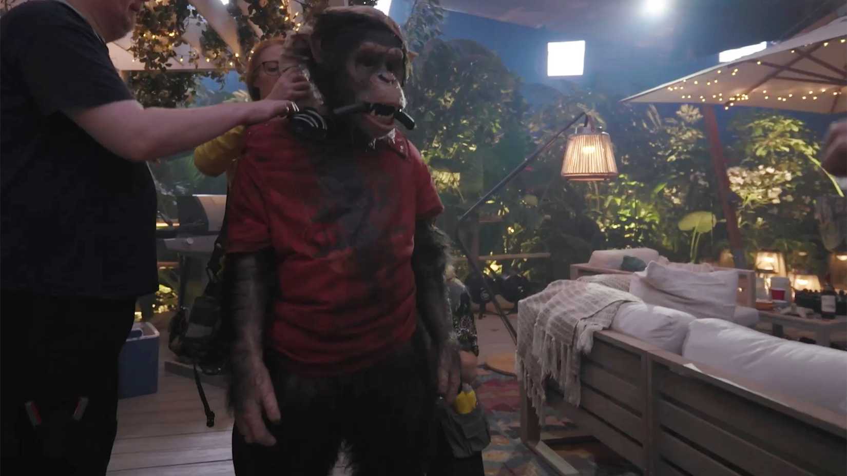 Behind the scenes of Primate
