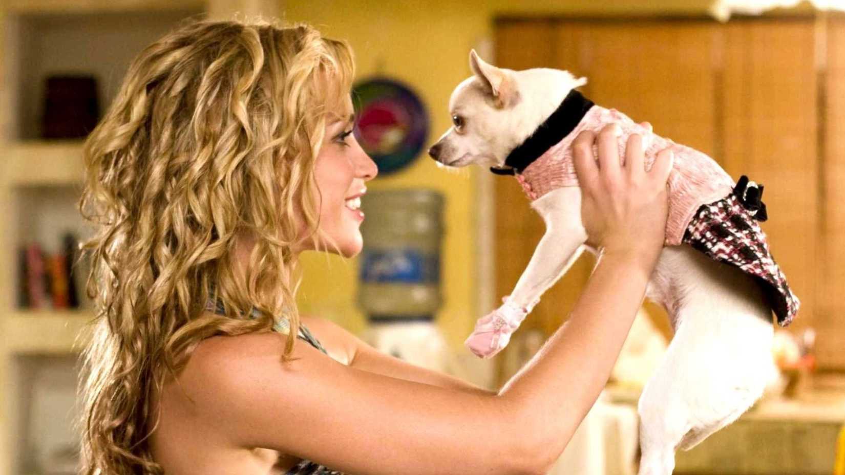 Женщина держит собаку перед лицом в "Чihuahua из Беверли-Хиллз