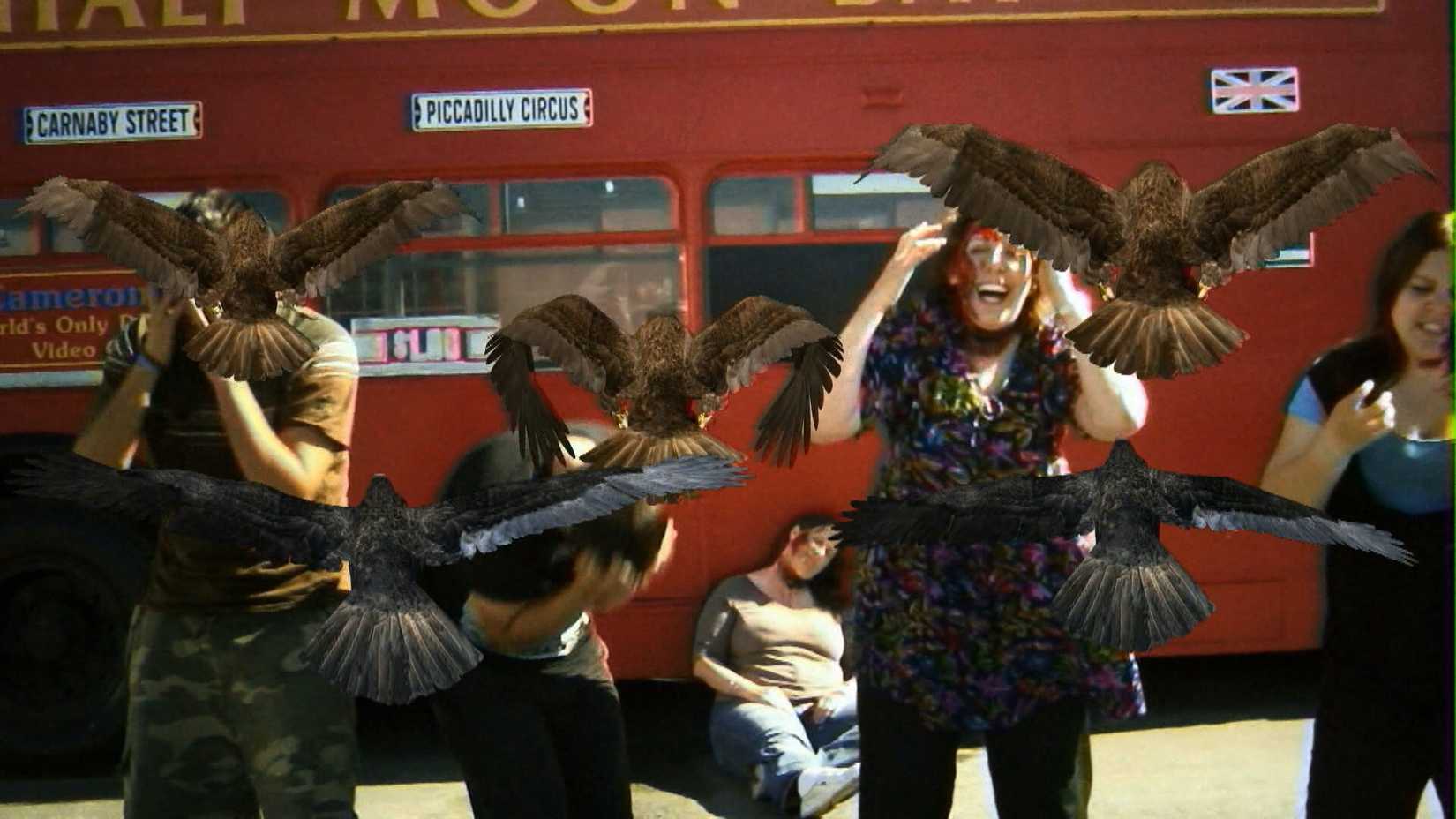 Pessoas são atacadas por pássaros em CGI em Birdemic