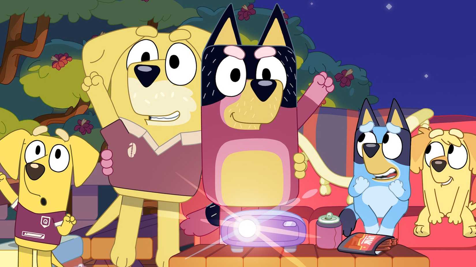 bluey and bandit watching rugby