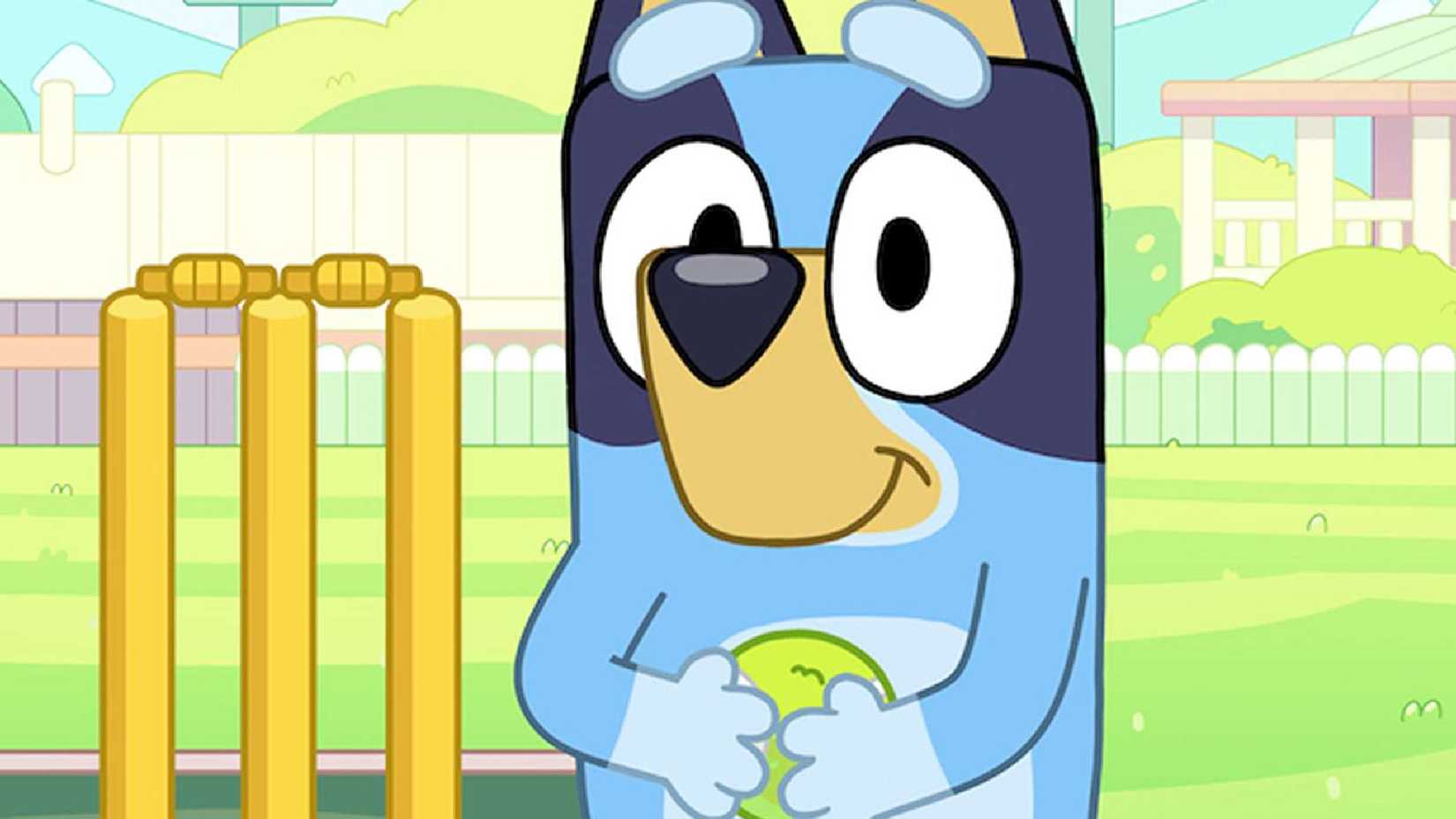 bluey playing cricket