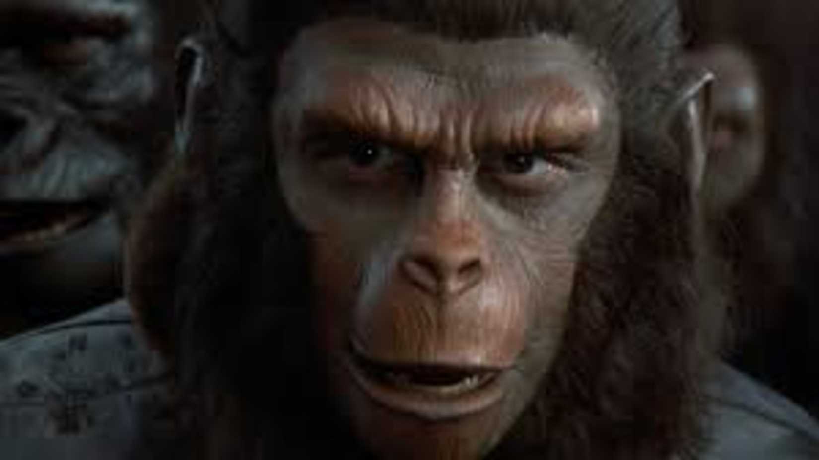 Ceasur in Battle for the Planet of the Apes