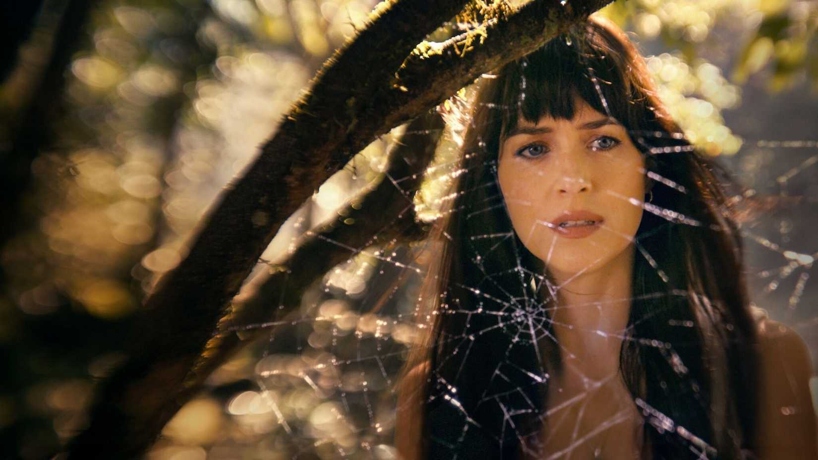 Dakota Johnson como Madame Teia olhando para uma teia de aranha