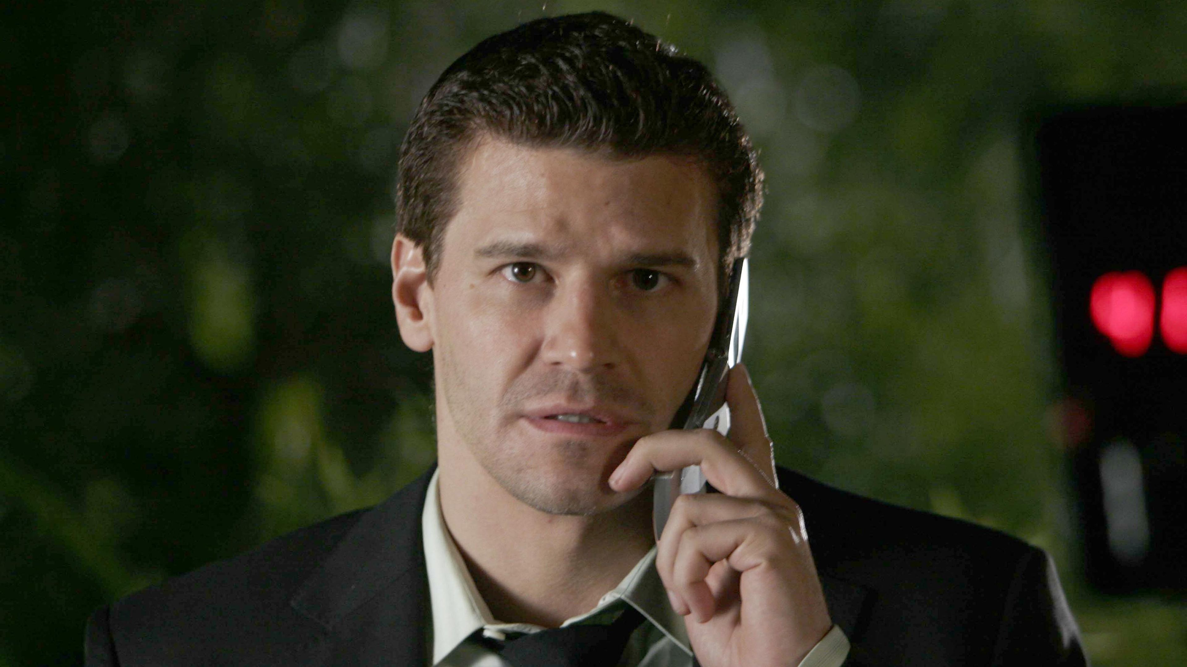 David Boreanaz's The Rockford Files Season 1 Episode Count Officially Confirmed image
