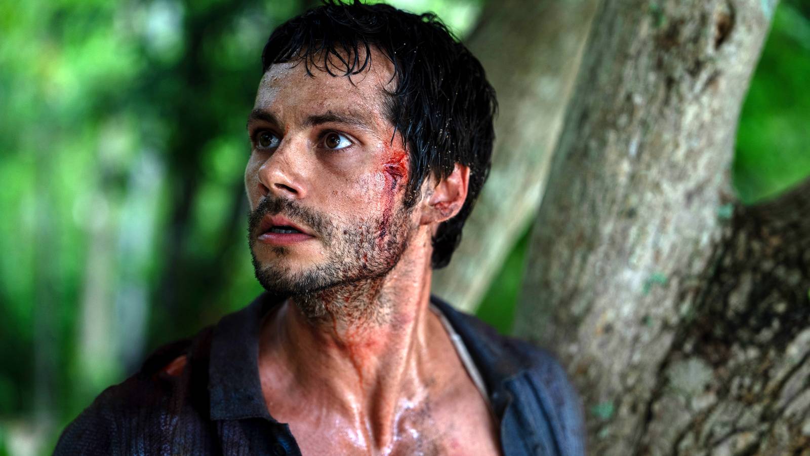 Sam Raimi’s All-Time Record-Setting R-Rated Thriller Finally Gets Digital Release Date