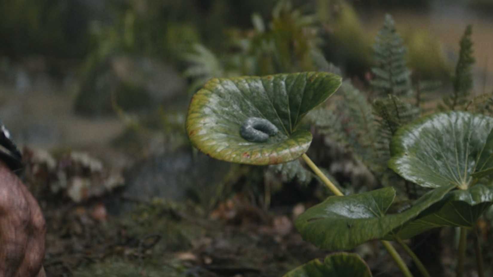 Explosive Maden Predator Badlands