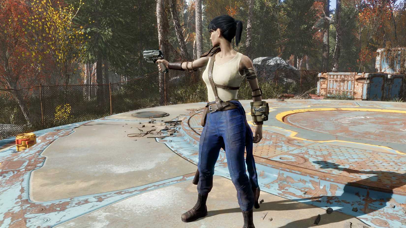 Fallout 5 Multiplayer Leaves Gamers Divided