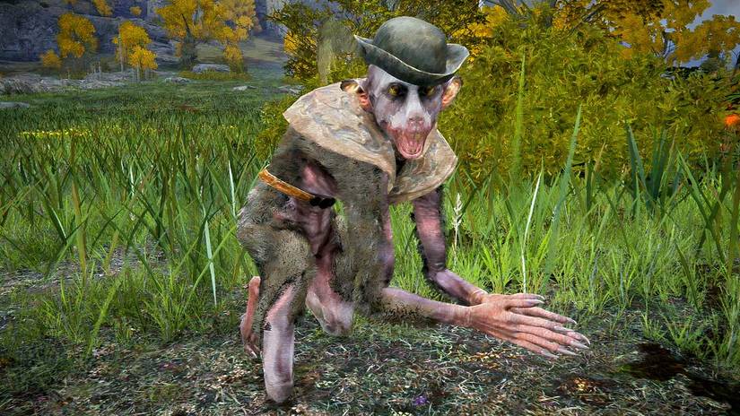 Изображение Бока из Elden Ring