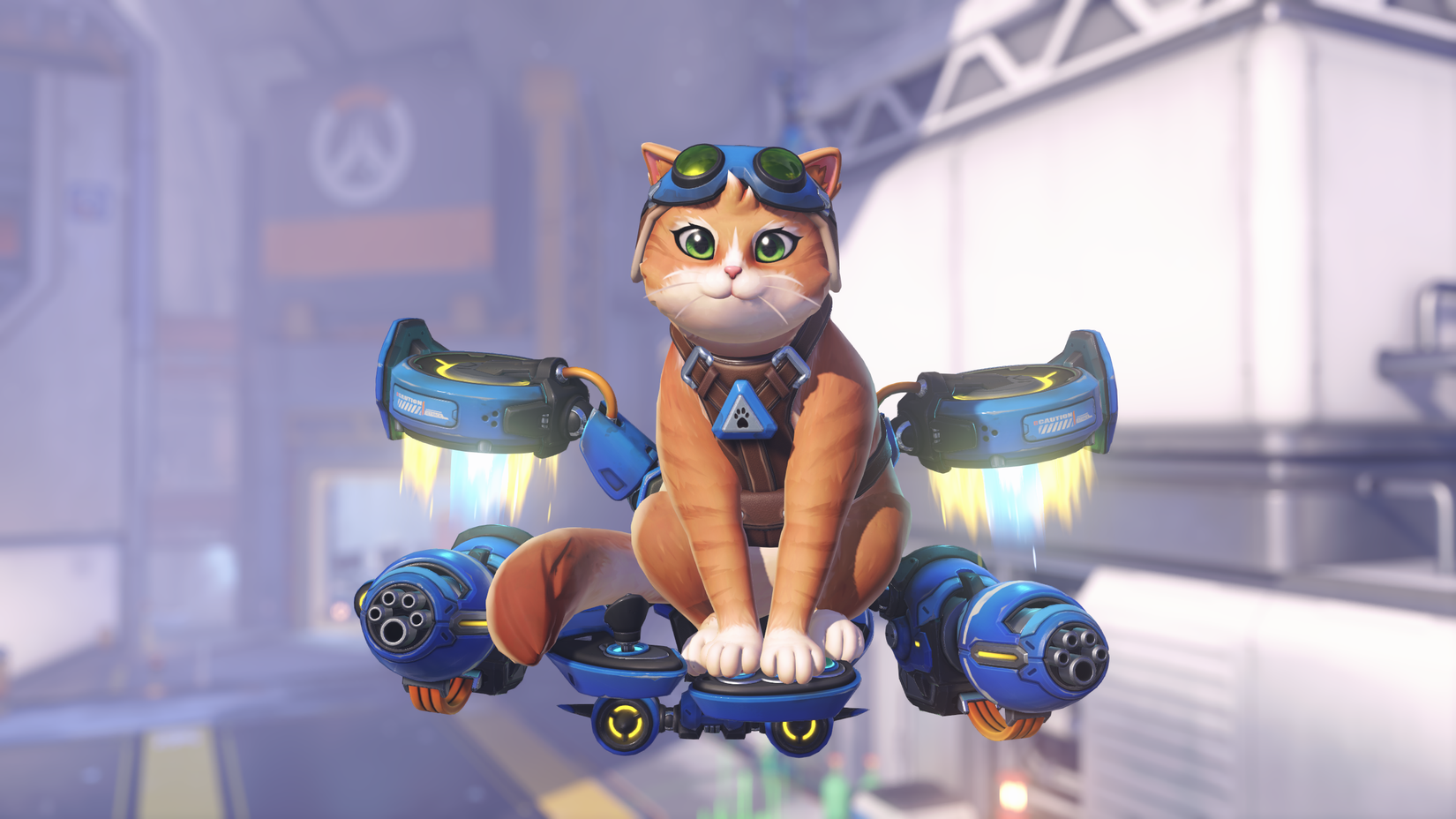 Gato com Jetpack