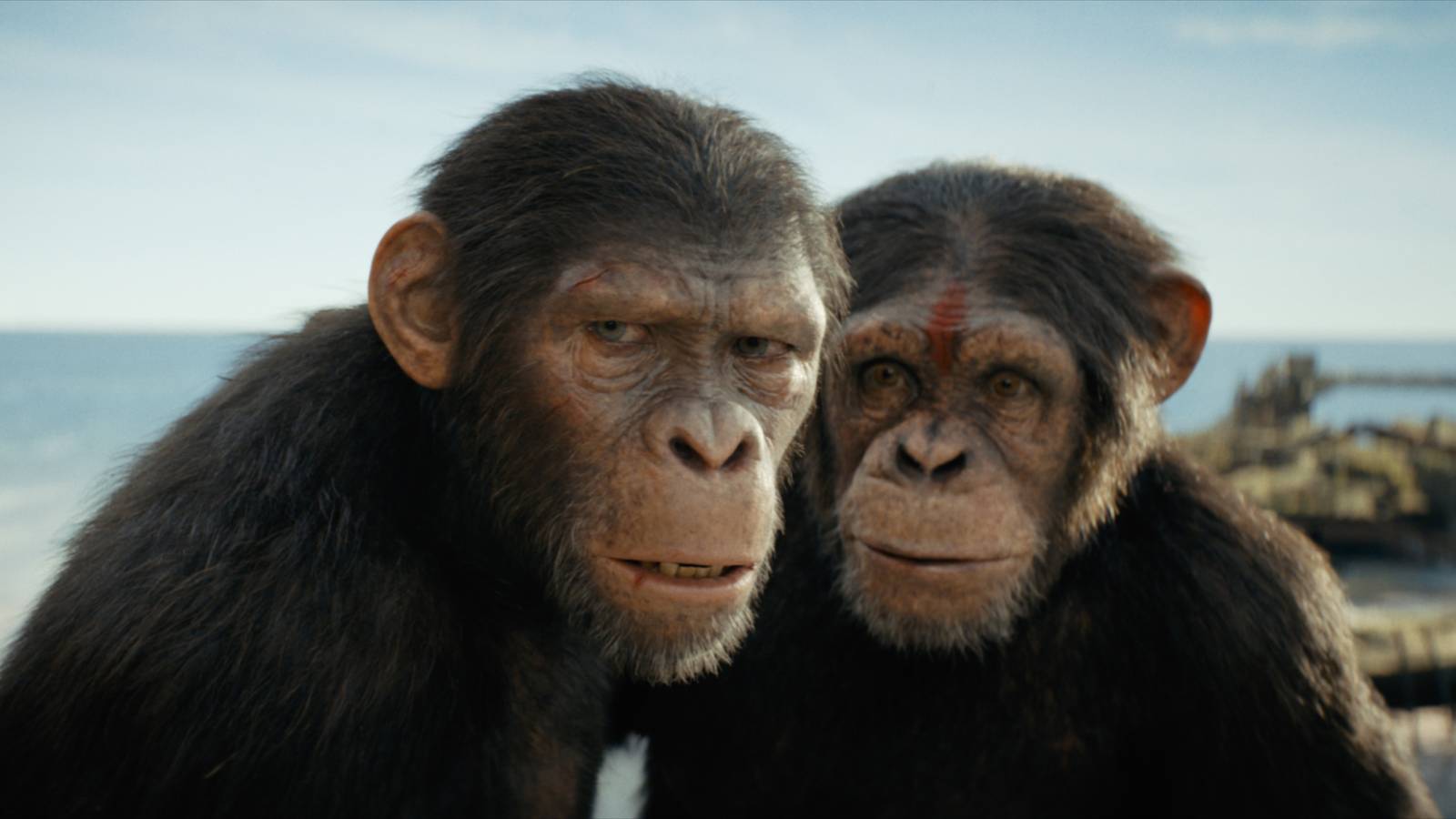 What's Going On With The Next Planet Of The Apes Movie?