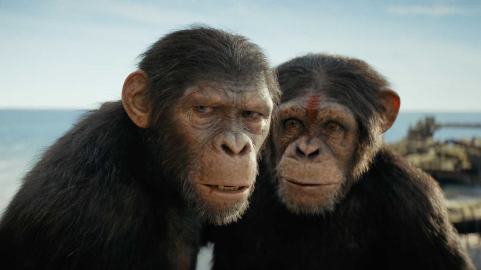 Noa e Soona em Planeta dos Macacos: O Novo Reino