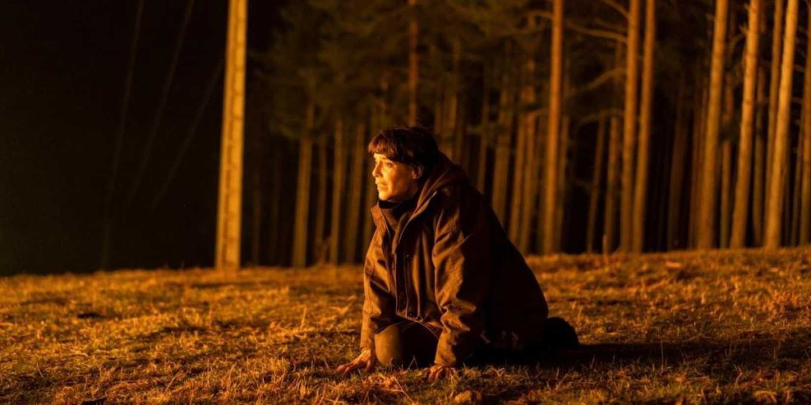 Why Netflix's New #1 Mystery Thriller Is Taking Over The World