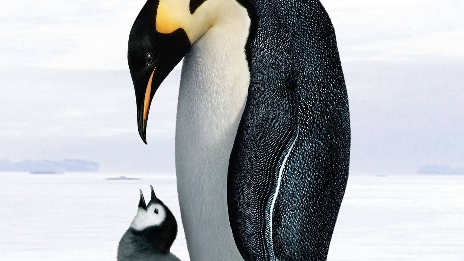 Top 10 Highest-Grossing Documentaries Ever Made