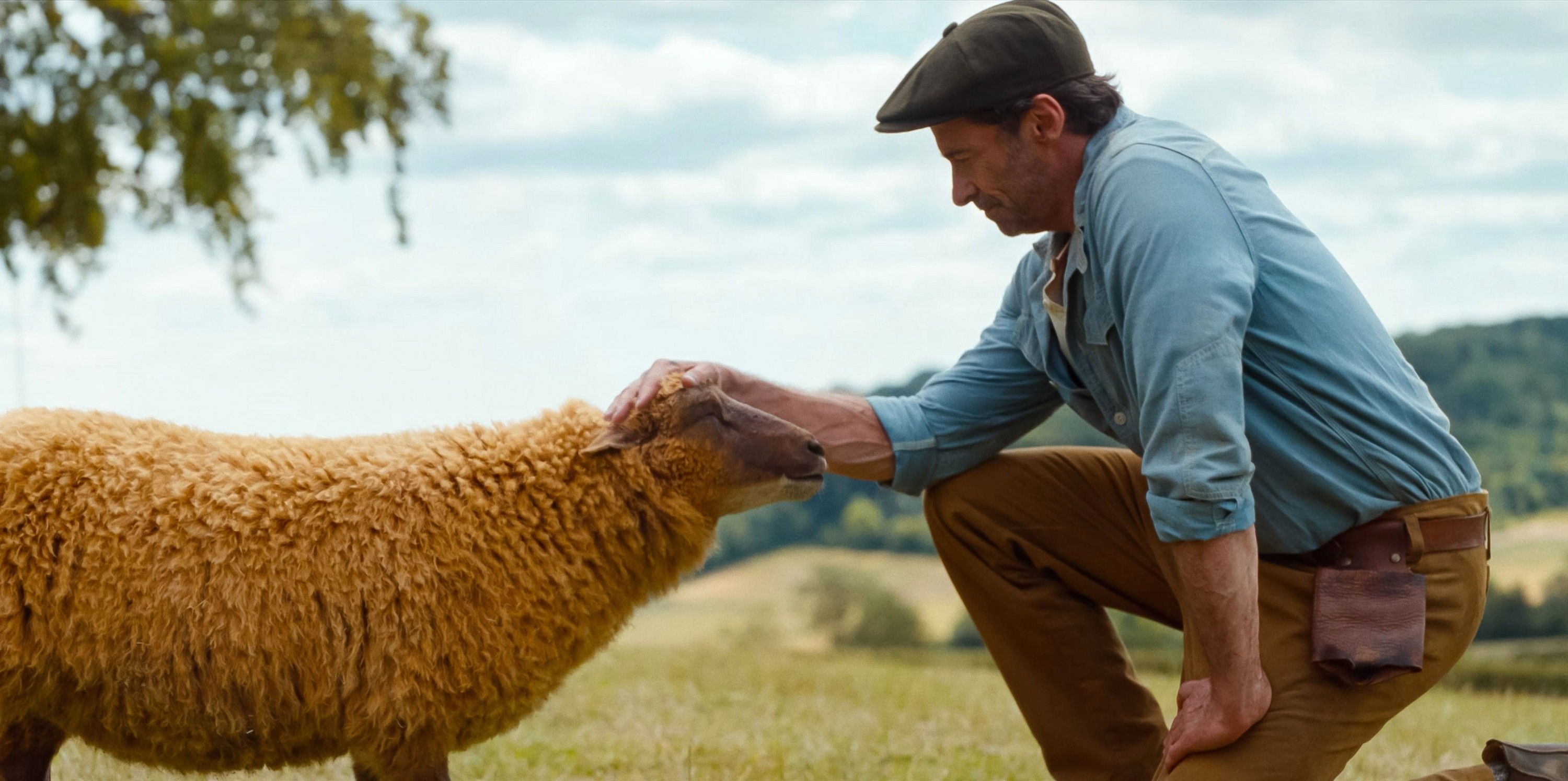 5 Reasons Why Reviews For The Sheep Detectives Are So Wildly Positive