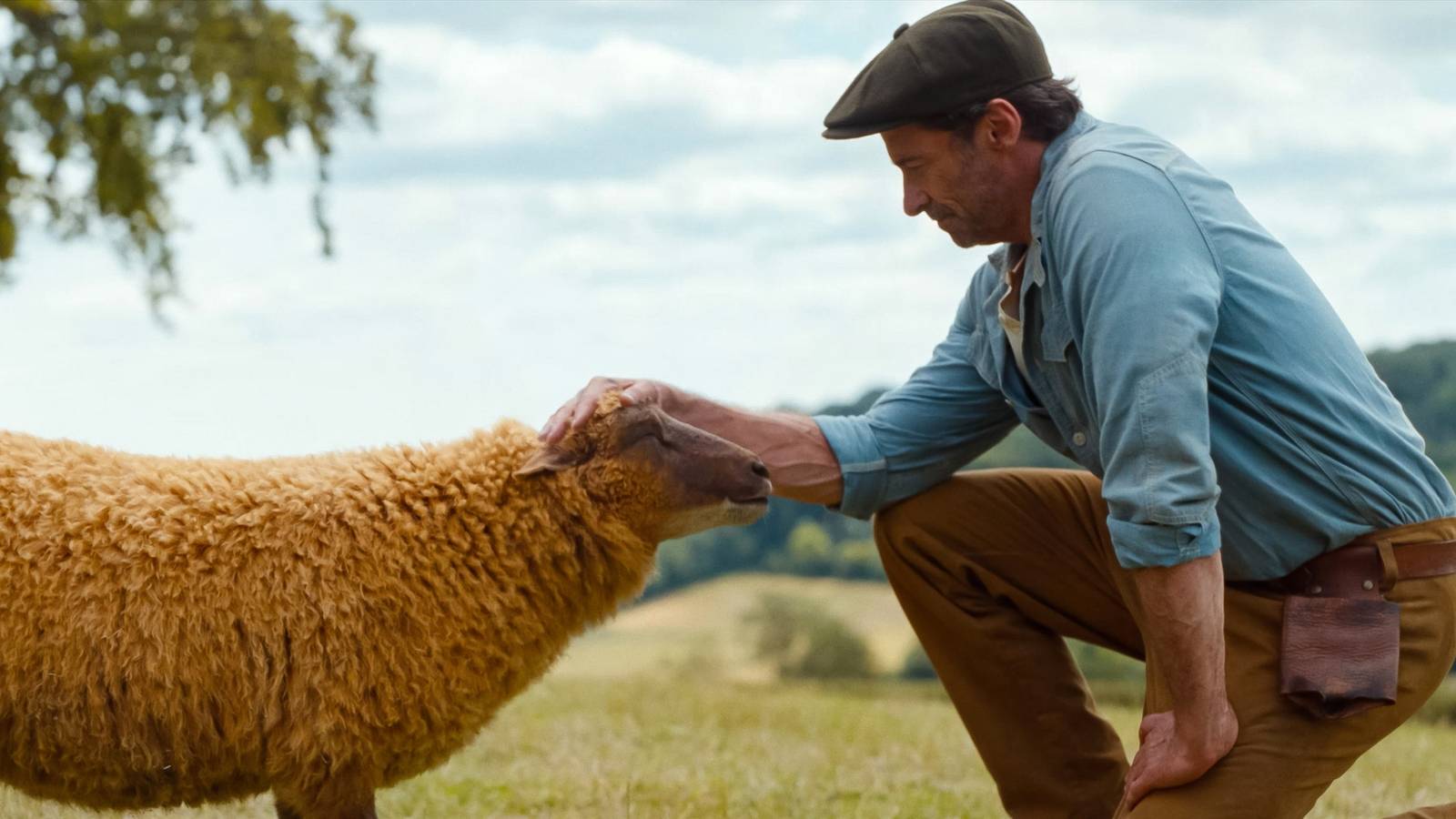 5 Reasons Why Reviews For The Sheep Detectives Are So Wildly Positive
