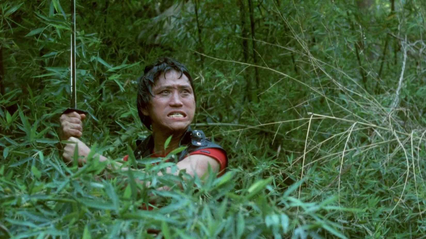 YK Kim fica em um arbusto com uma espada em Miami Connection