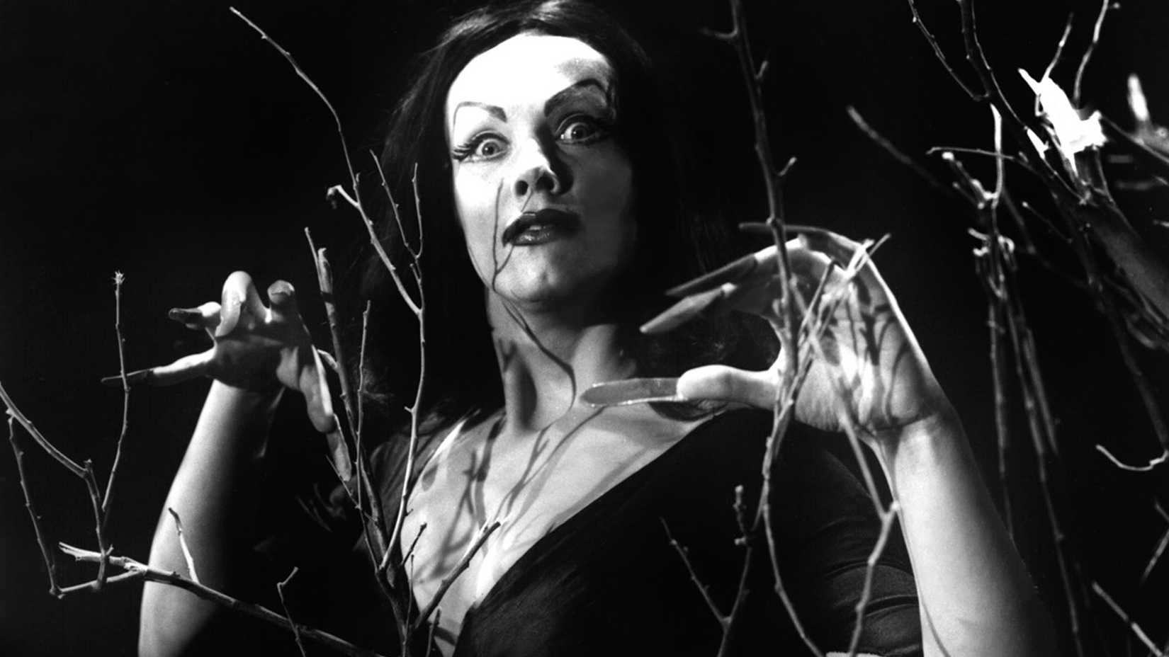 Vampira espreita nos arbustos em Plan 9 From Outer Space