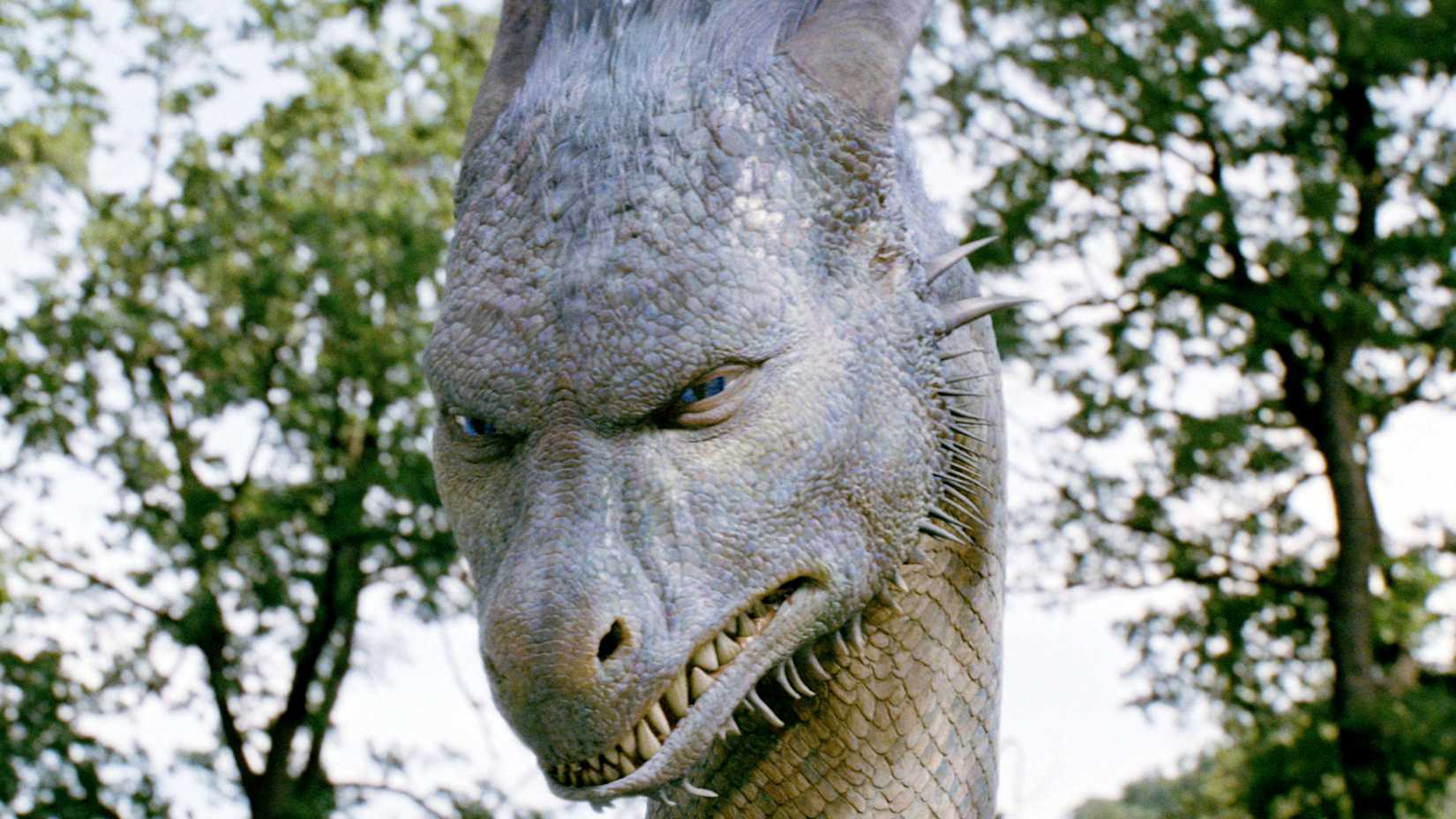 Saphira biss die Zähne in Eragon zusammen