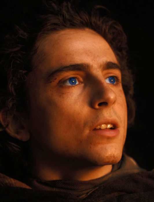 Fair Play Cast & Character Guide