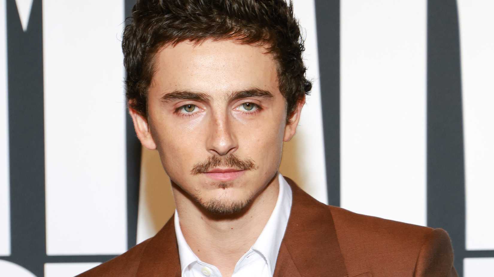 Timothee Chalamet posing in front of a Marty Supreme step and repeat