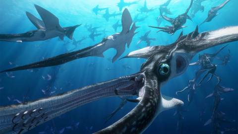 Underwater creatures in Avatar: Fire and Ash
