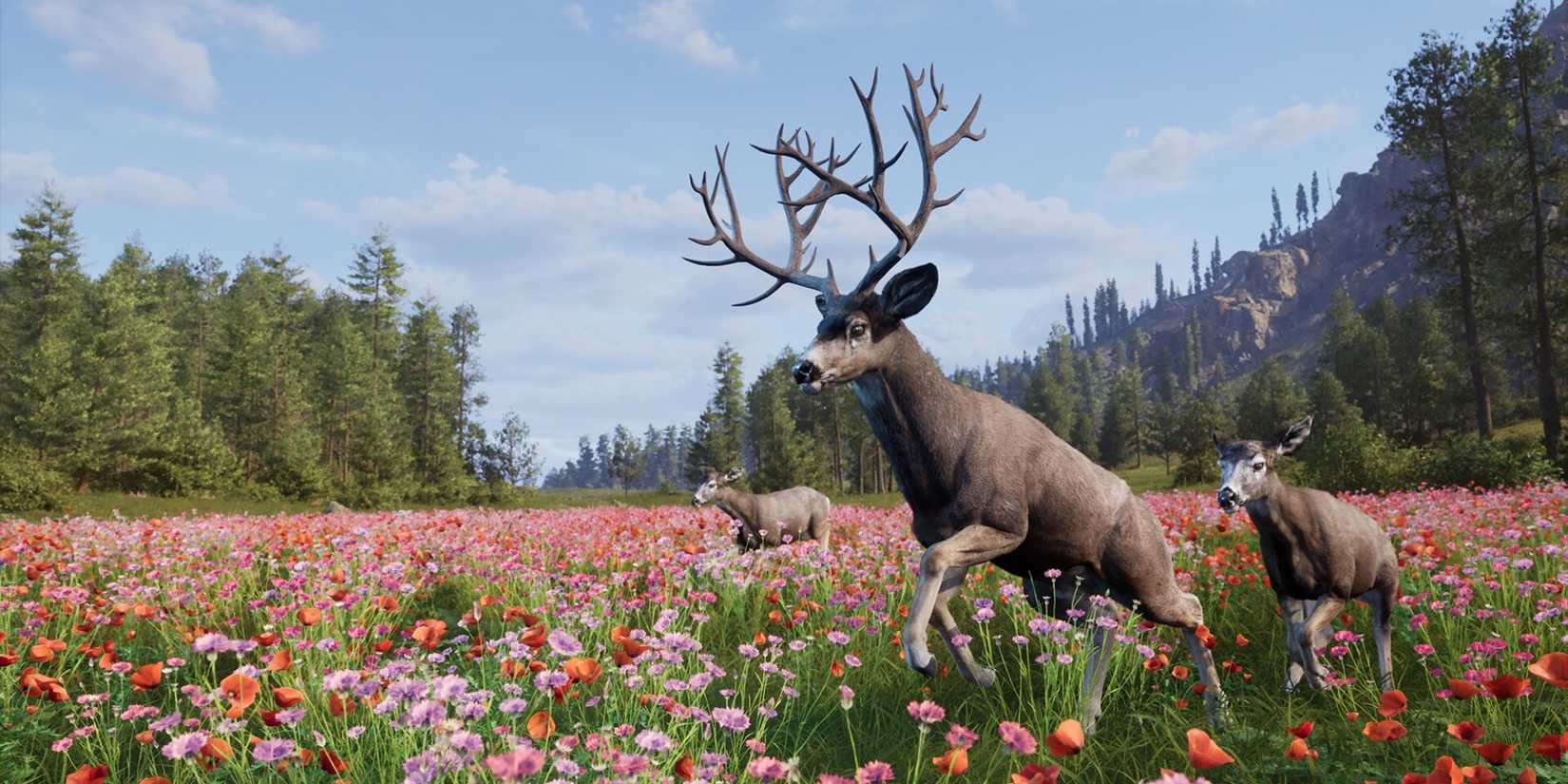 Three deer run across a flowery field in Way of the Hunter 2.