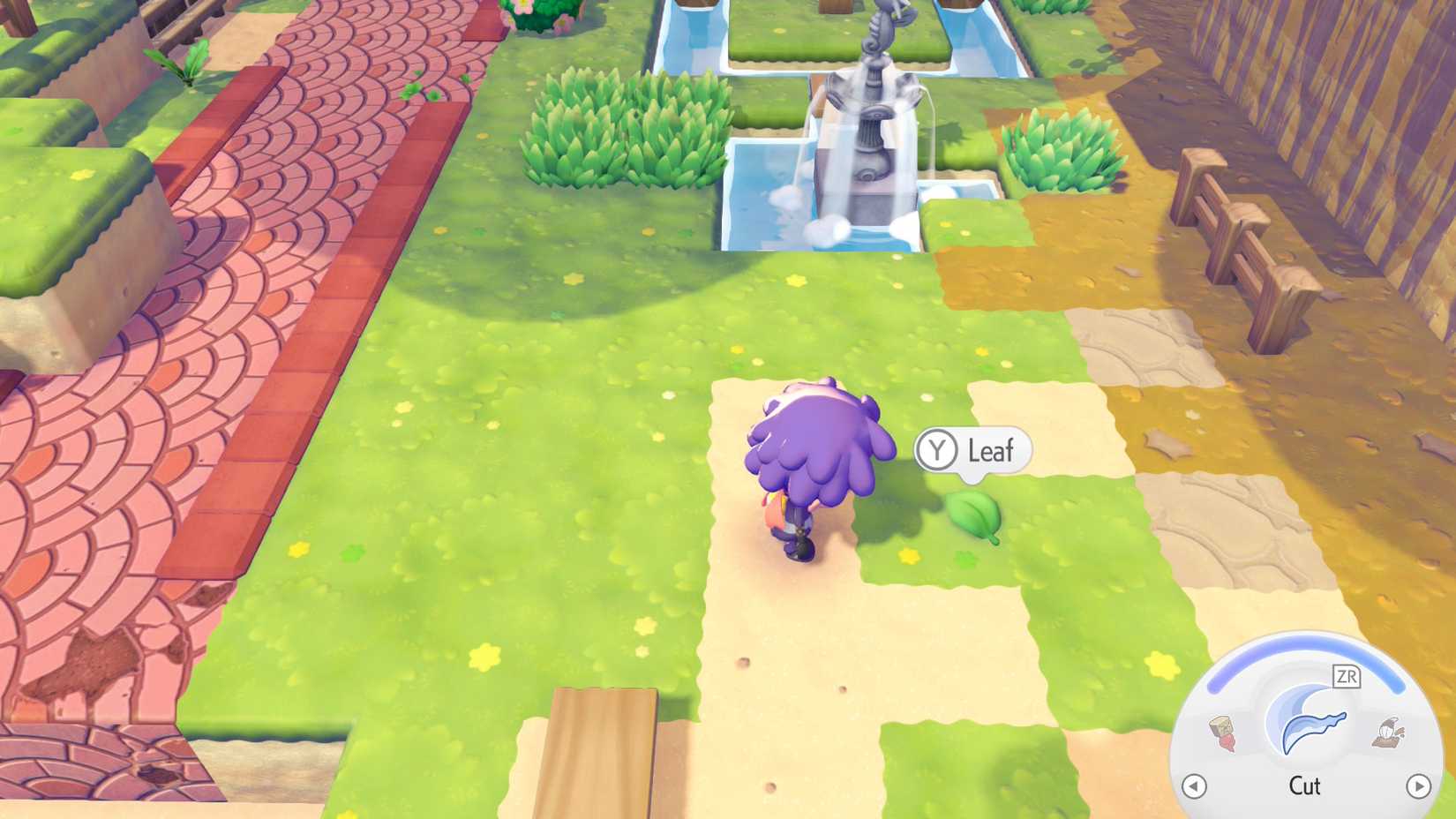 a leaf on the ground