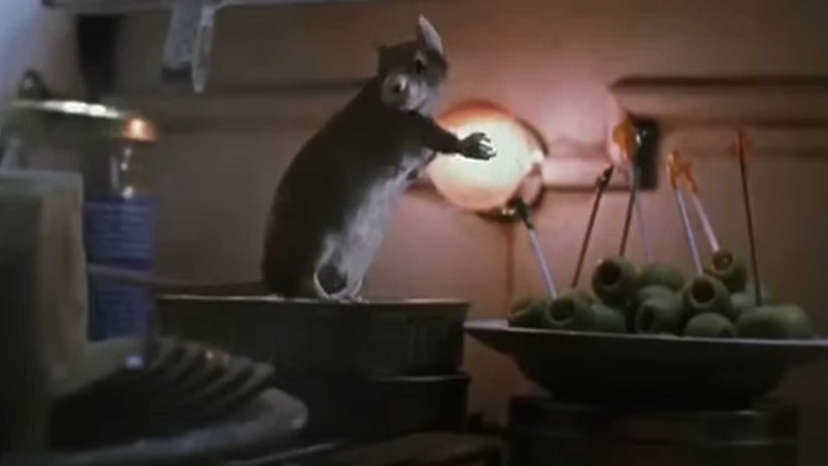 Um rato prestes a roubar azeitonas em Mouse Hunt