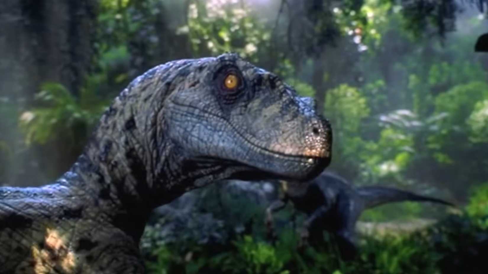10 Ways Rewatching All 7 Jurassic Park Movies Changes How You Look At The Films 1 A raptor looking menacingly at the camera from Jurassic Park 3