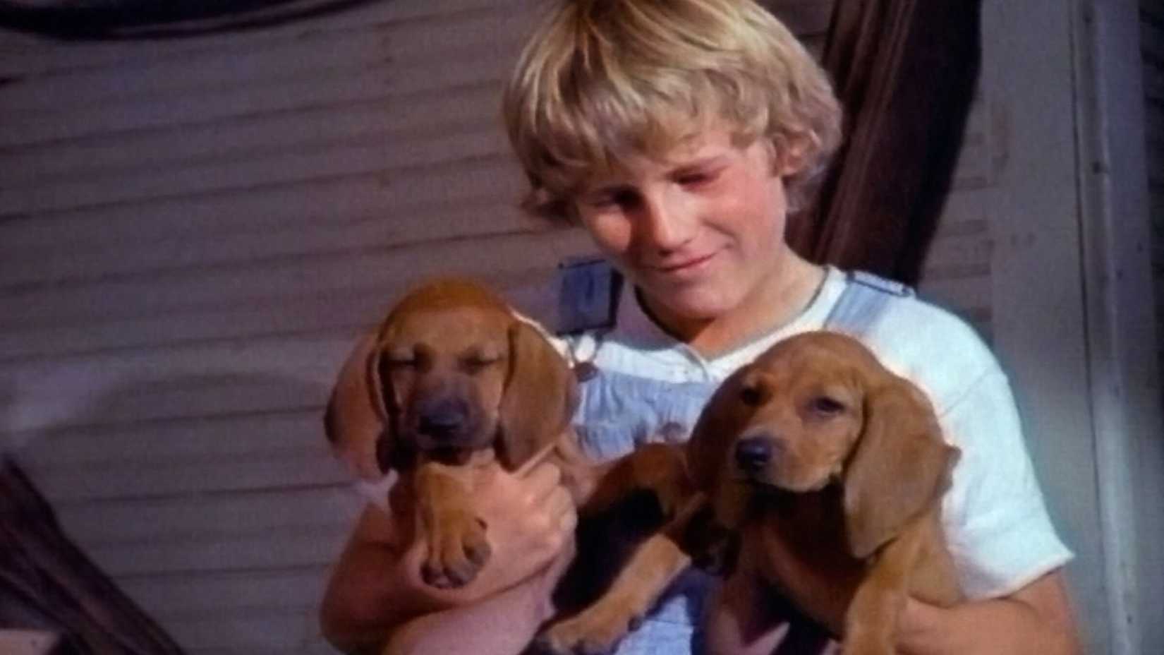 10 Movies That Traumatized Gen X Kids 8 Billy holding his puppies in Where the Red Fern Grows