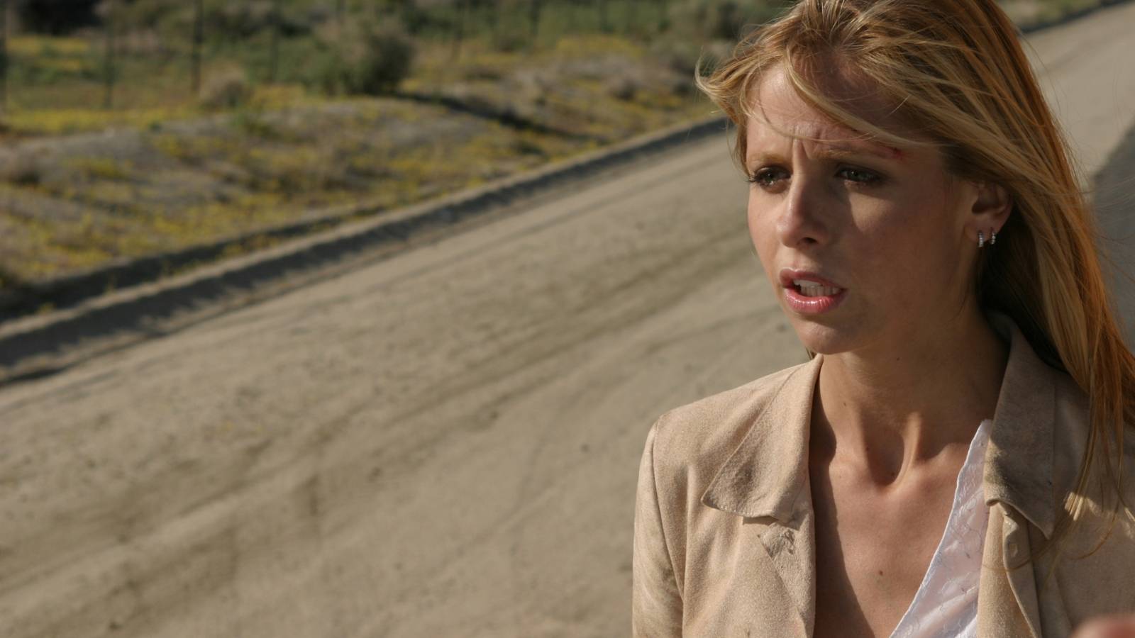 Controversial Buffy Reboot Cancelation Proves Why We Need The Show Now More Than Ever