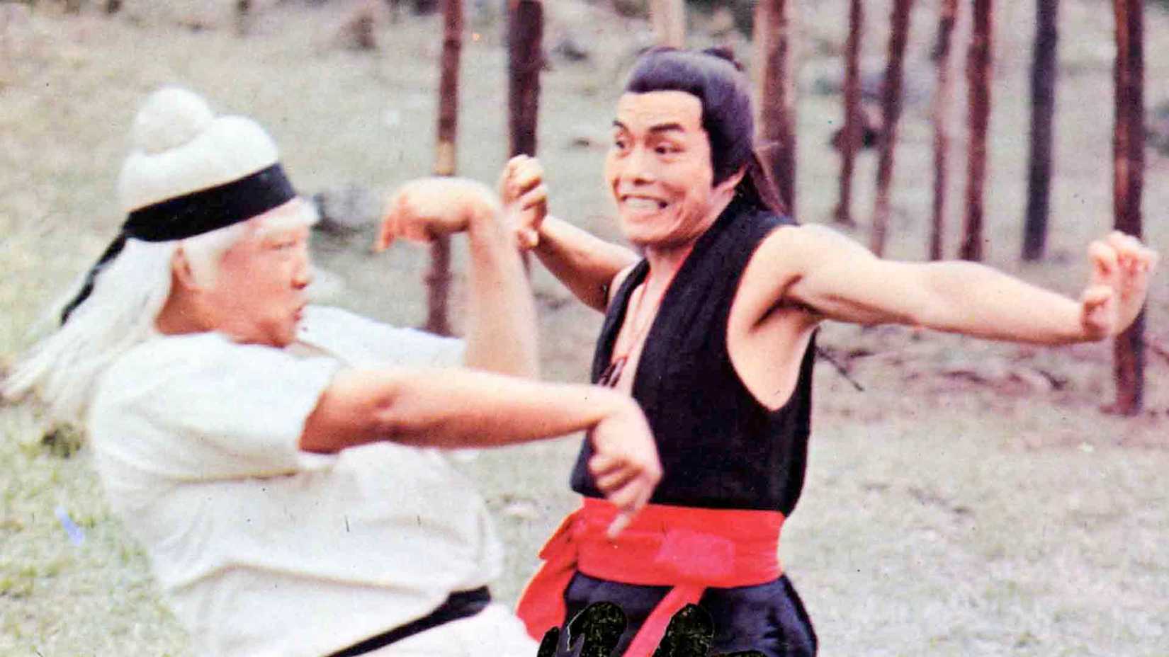 Carter Wong's 10 Best Martial Arts Movies, Ranked 5 Carter Wong fighting Samo Hung in The Traitorous