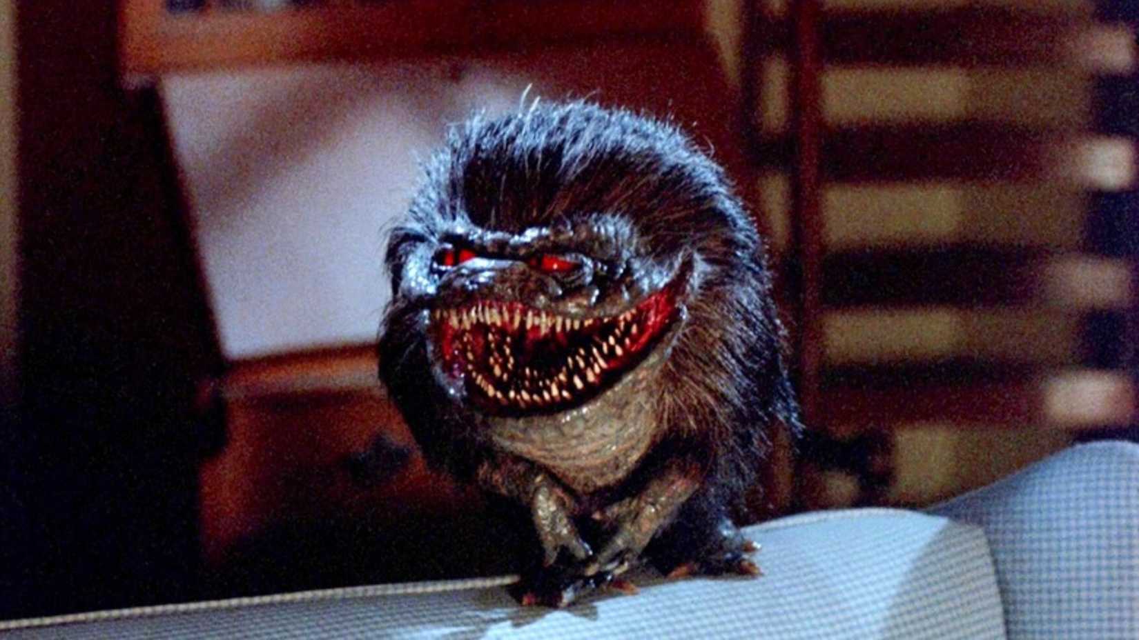 Um critter espreita no sofá em Critters