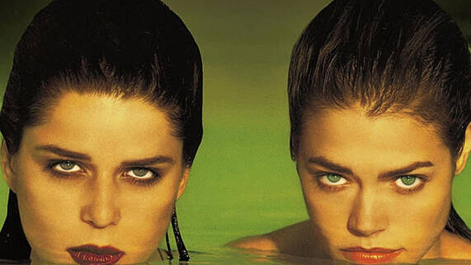 9 Must-See Movies That Prove Florida Is the Wildest State in America