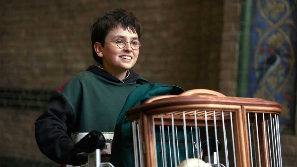 Dominic McLaughlin as Harry Potter with hedwig in Harry Potter and the Philosopher's Stone