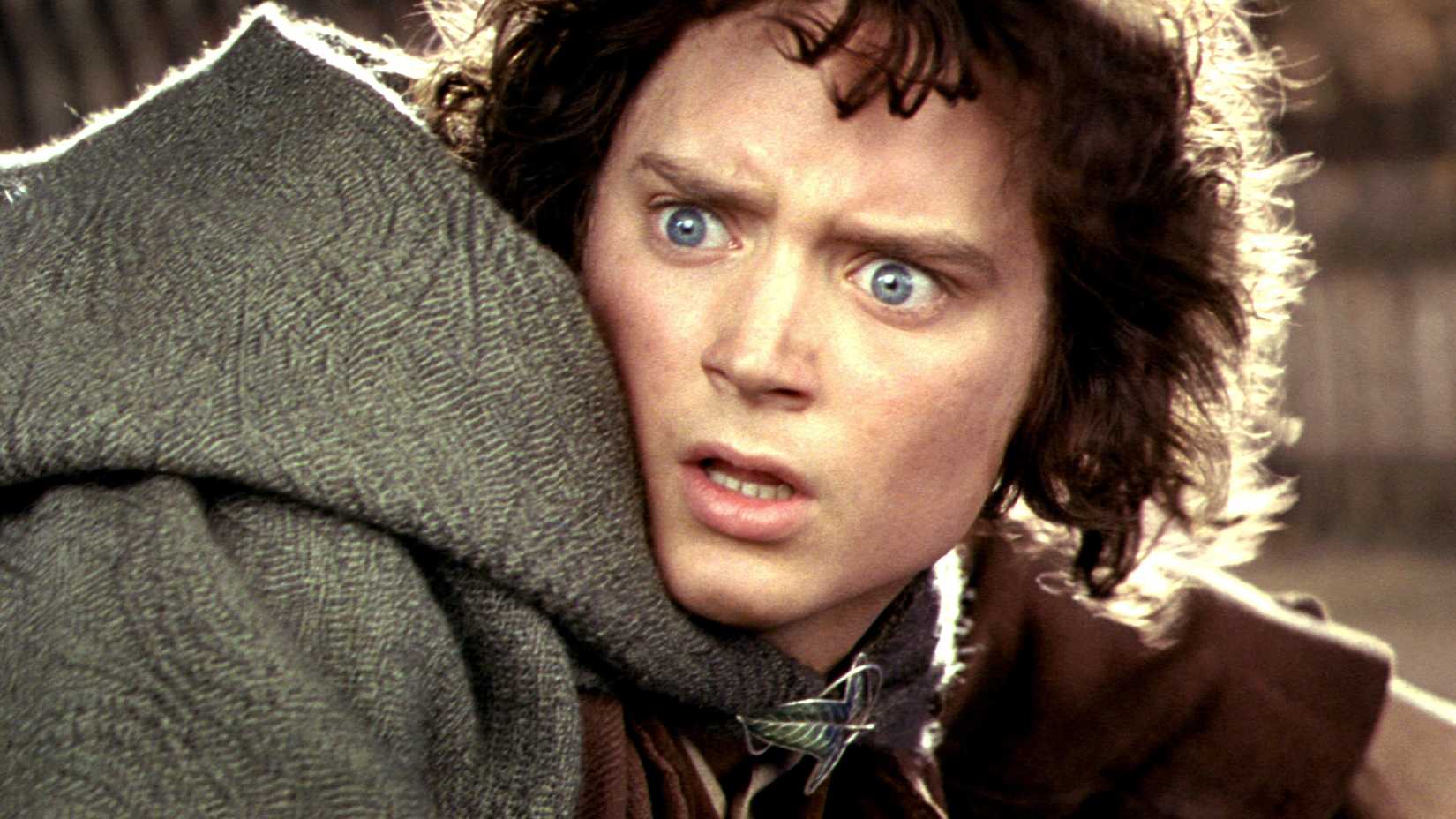 Elijah Wood looking shocked as Frodo in Lord of the Rings - The Two Towers