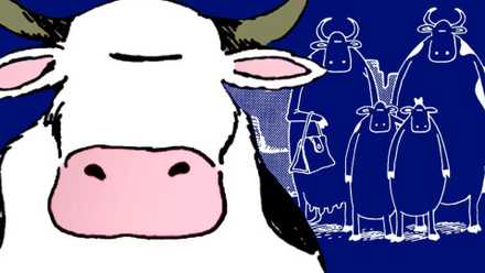 Far Side cow (foreground) and cow family (background)