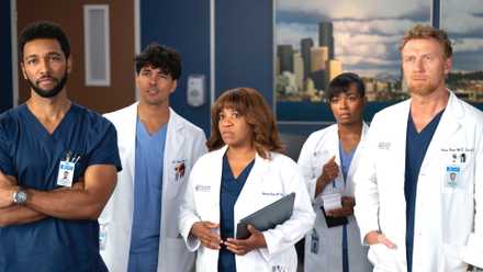 Grey's Anatomy season 22 cast