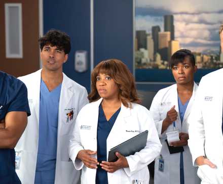 Grey's Anatomy season 22 cast