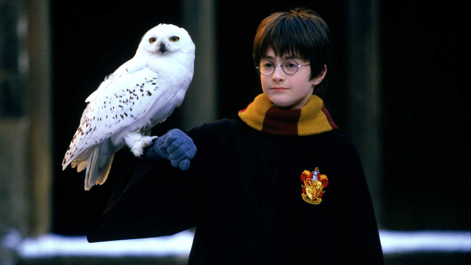 Harry Potter segura Edwiges em seu braço em Harry Potter e a Pedra Filosofal