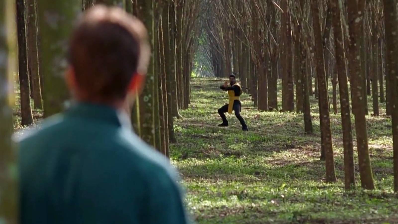 10 Fighting Films To Watch If You Cannot Wait For Street Fighter